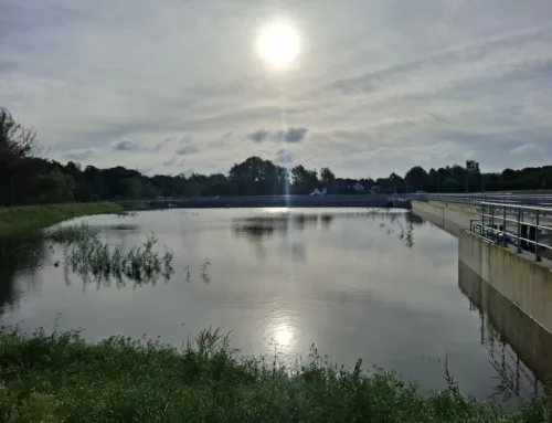 Der größte Bodenfilter Deutschlands ist in Betrieb!